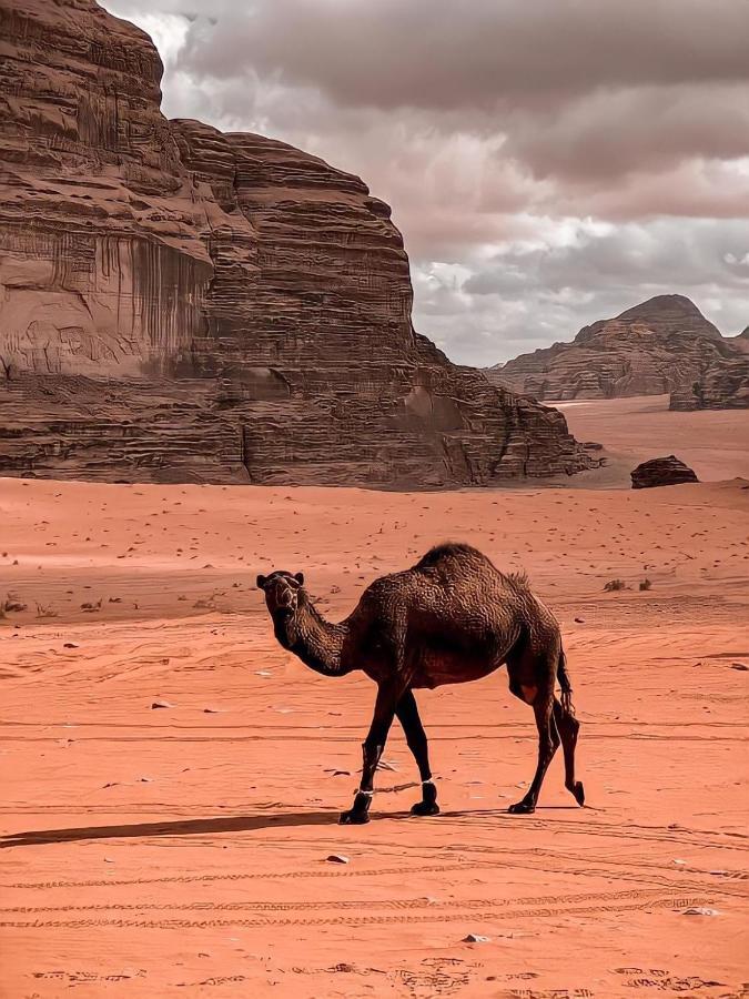 Rum Paradise Luxuri Camp Wadi Rum Exteriér fotografie